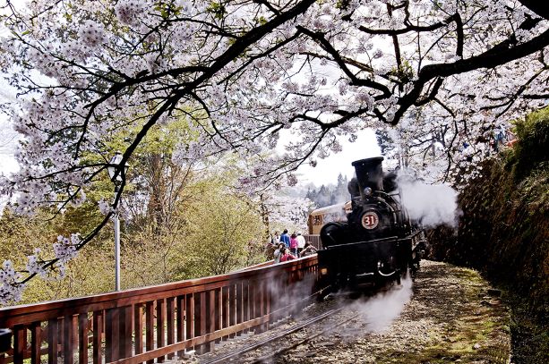 阿里山鐵道之旅･八人座